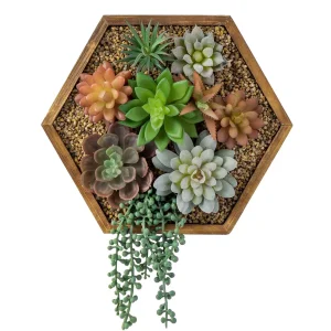 3D Art Wall Hanging Succulent