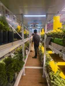 Agg Herbs Hydroponics Container Farm Aeroponics Vertical Strawberry Shipping Container Farming