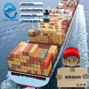 Inspection Service Sea Cargo Shipping From China to Italy /Spain/Austria /UK