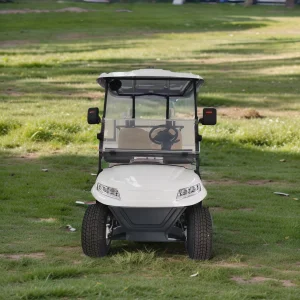 Fast and Intelligent Charging Electric 2-Seater Golf Cart CE Certified Lithium Battery Long Range Low Maintenance Golf Buggy