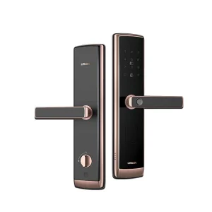 Leelen Smart Door Lock