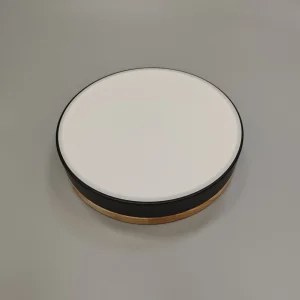 Lighting Fixtures Modern European Design Surfaced Mount LED Lighting Super Thin Acrylic Cover with Iron Base Ceiling Led Lights