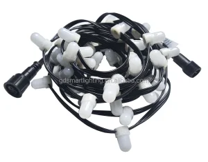 12mm Diameter DC12V 0.15W 50pcs/string IP67 Waterproof RGB LED Pixel String Light for House Garden Decoration