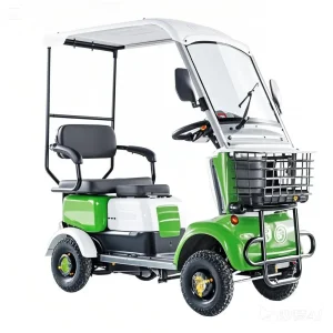 Waterproof Design Eco-Friendly and Energy-Efficient Park Security Patrol Mobile Music Performances Electric ATV Electric Golf Cart