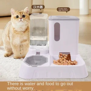 Modern Automatic Water Dispenser