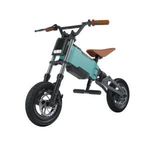 2025 New OEM 250W Motor, Removable 36V10ah Kids Children Ebike