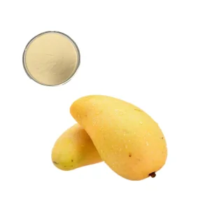 Wholesale Natural & Concentrated Instant Mango Juice Powder