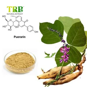 Wholesale Kudzu Root Extract Manufacturer, Manufacturers