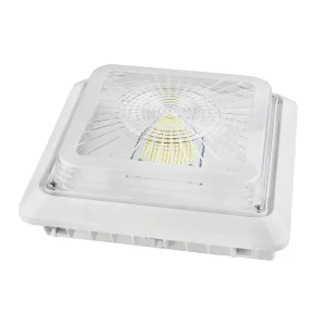 LED Canopy Light