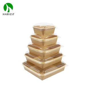 Factory Custom Biodegradable Square Kraft Paper Food Container Take Away Disposable Salad Bowls With Lid