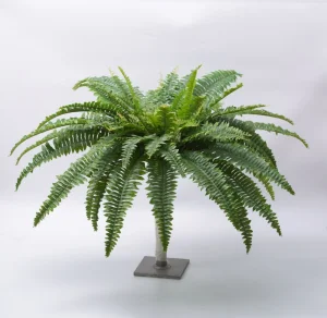 Commercial Application