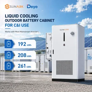 High Efficiency 125kw Deye Inverter 261kwh Solar Hybrid Bess Cabinet Outdoor Integrated Energy Storage Solution for Industrial Power Supply