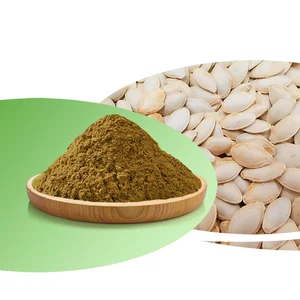 Factory Supply Bulk Organic Pumpkin Seed Protein