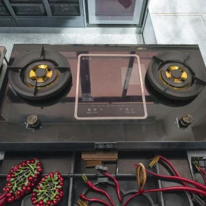High Quality Electric Double Burner Cooker