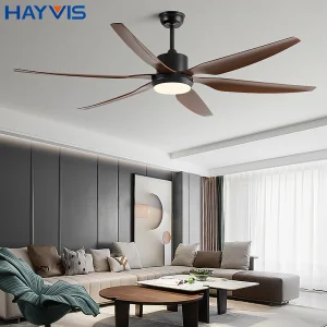 HAYVIS Custom Modern Indoor Living Room Home 52inch