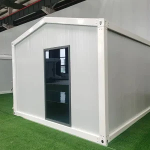 Artistic Contemporary House