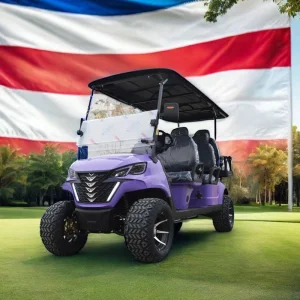 Cheap Electric Golf Cart