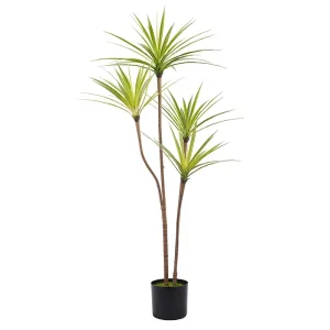 Artificial Dracaena Plant
