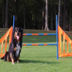Pet Dog Agility Dog Training Jump Hurdle (GW-DT08)