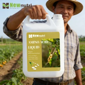 Amino Acid Fertilizer