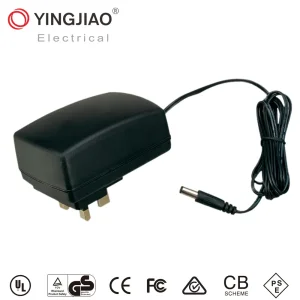 36W AC DC Switch Mode Power Adapter