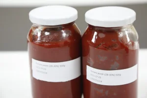 Pizza Fries Seasoning Tomato Sauce in Plastic Bottles 500g