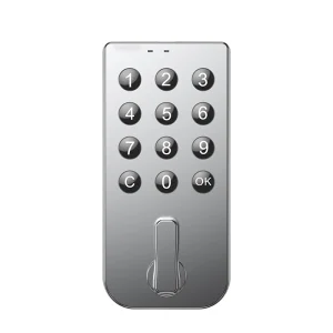 Custom Logo Lock