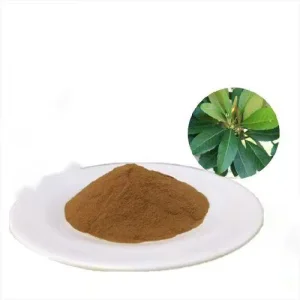 Rich Active Ingredients Loquat Leaf Extract Natural 10:1 Loquat Leaf Extract Powder