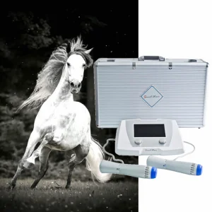 Veterinary Shockwave Therapy