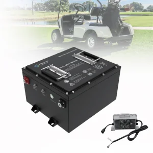 Cutting Technology Flexible Dimension 51.2V Lithium Golf Cart Battery 51.2v 105ah 51.2v 60ah Golf Cart Battery
