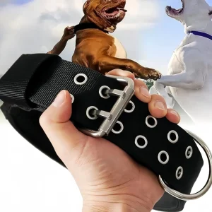 Coleira Grande Ajustável para Cães com Fivela de Metal em Forma de D Coleira Tática China