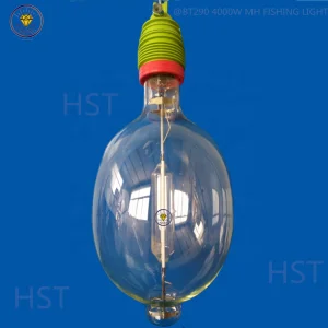Squid Light
