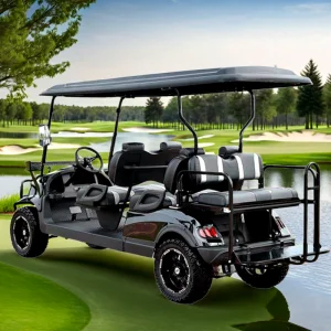 2025 New Design Black Golf Carts Electric Battery 4 6 Seater