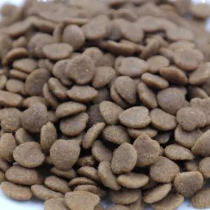 Alimento seco para gatos, nutrición, alimento para gatitos