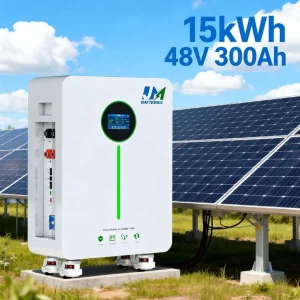 OEM ODM 48V 300ah Batería de Litio