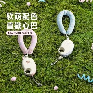 China Pet Leashes Procurement