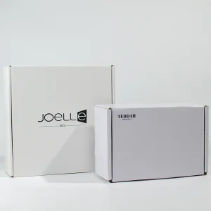 Eco Friendly Printed Design Postal Airplane Shipping Box Custom logo Folding Corrugated Cardboard Paper Packaging Mailer Boxs