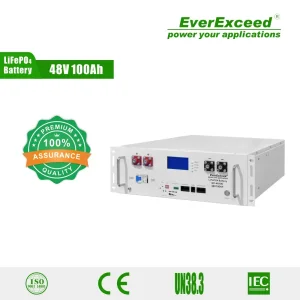 Everexceed 6000+ Cycle Times 48V 100ah Rechargeable LiFePO4 Lithium Ion Solar Battery