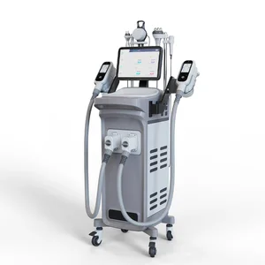 Multifunction Beauty 5 Handles Cryo Test Report Best Slimming Exercise Cellulite Freeze Cryolipolysis Machine in China