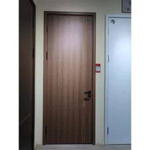 Customized Fire Rated 30 45 90 Min Wood Timber Wood Fire Door with Steel Frame