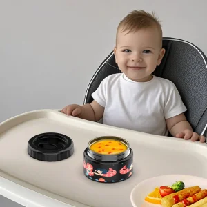 Thermal Lunch Container