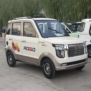 China Top Mini Raptor