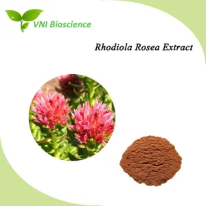 Extrato de Rhodiola Rosea