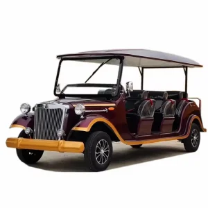 Luxury Retro-Style 11 Seaters Vintage Car