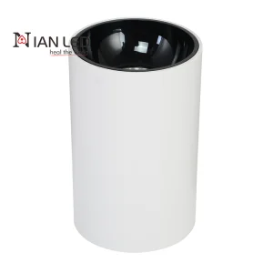 Surface Mounted Slim Aluminum Flat Spot Lights 15W COB LED Anti-Glare Down Light with IP44 High CRI 90 Dimmable for Bedroom