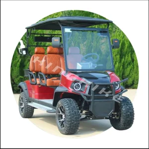 Street Legal ODM Custom Golf Cart 2 4 6 8 Seats Seater Hunting off Road Electric Golf Carts with Curtis Controller