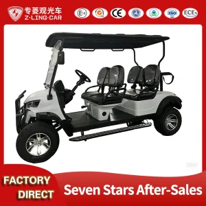 Premium Custom Golf Carts and Parts for Global Distribution