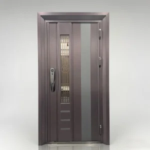 High-Security Stainless Steel Security Entry Door with Multi-Point Locking System