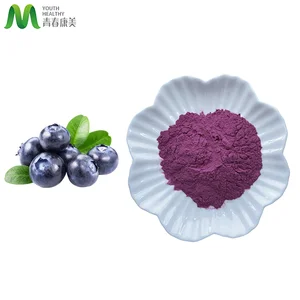 Food Grade Blueberry Flavor Powder With Vitamin Active Ingredient Direct Supply From Factory Packed In Drum