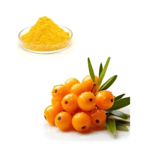 Seabuckthorn Fruit Water Soluble Powder